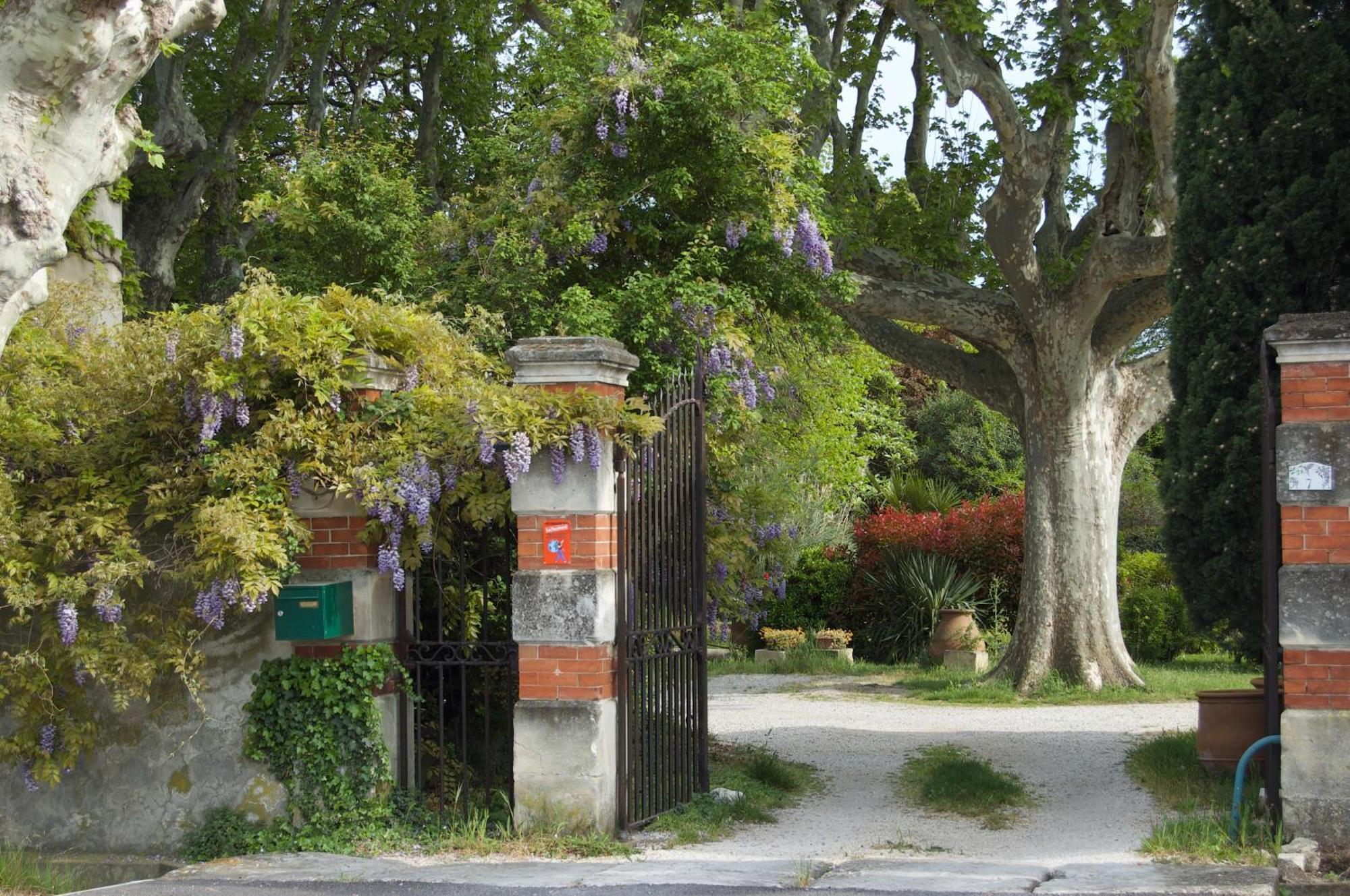 Le Mas Ferrand Graveson Exterior foto